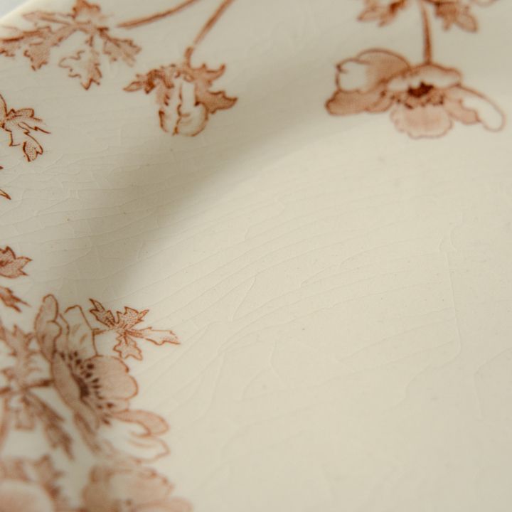 Gien ジアン Anemones アネモネ ブラウン ディナープレート フランス