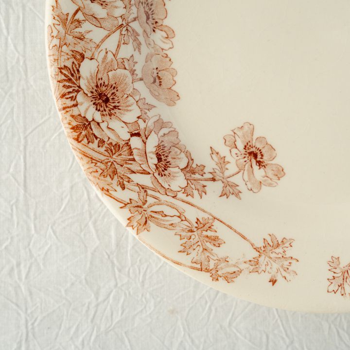 Gien ジアン Anemones アネモネ ブラウン ディナープレート フランス