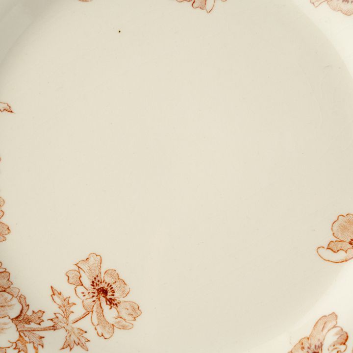 Gien ジアン Anemones アネモネ ブラウン ディナープレート フランス
