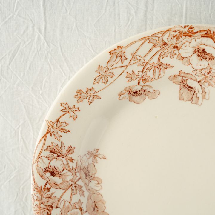 Gien ジアン Anemones アネモネ ブラウン ディナープレート フランス