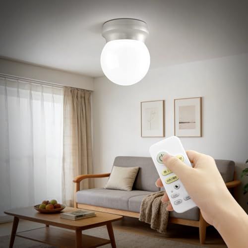 【省エネ高輝度・特許球体デザイン】LEDシーリングライト 6~8畳 小型軽量 リモコン付 昼光色 電球色 2700K～6500K 無段階調光調色 高効率LED 24W 3800LM 明るい メモリ 全灯/豆球常夜灯/タイマー搭載 天井照明器具 dd3ed46e 5,652円