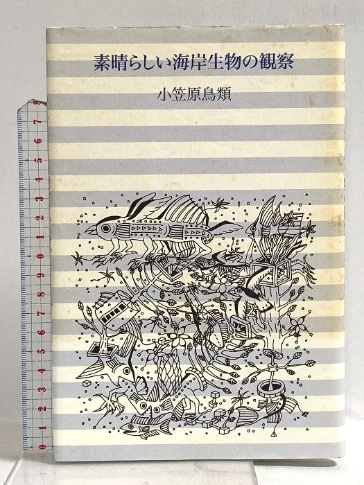 素晴らしい海岸生物の観察 Amazon.co.jp: 素晴らしい海岸生物の観察