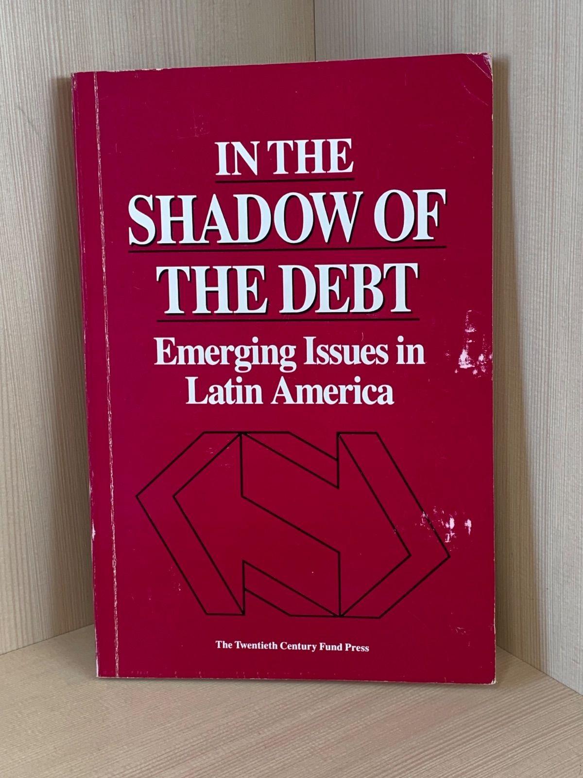 IN THE SHADOW OF THE DEBT