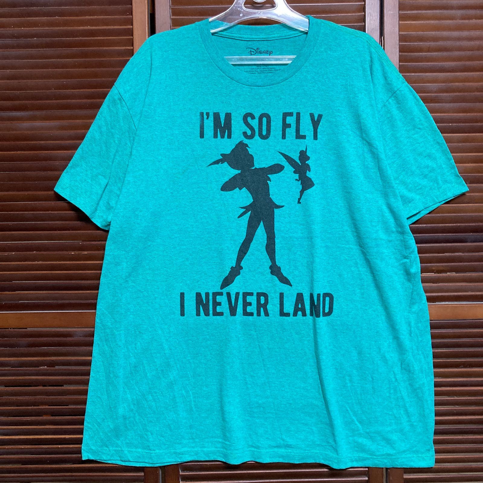 ディズニー Tシャツ ピーター パン ティンカーベル キャラ アニメ 水色 