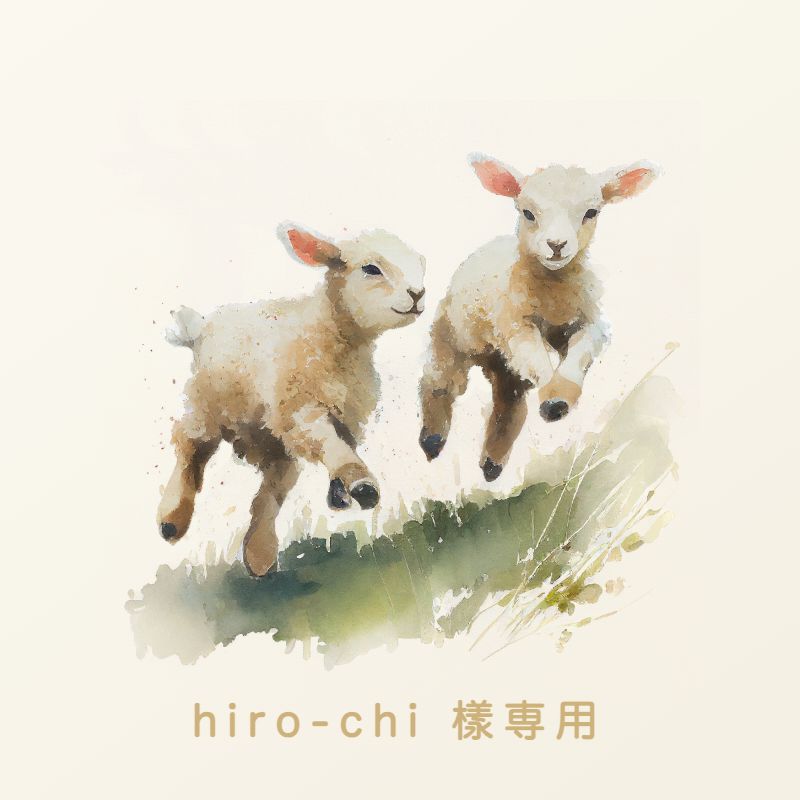 hiro-chi 様専用 - メルカリ