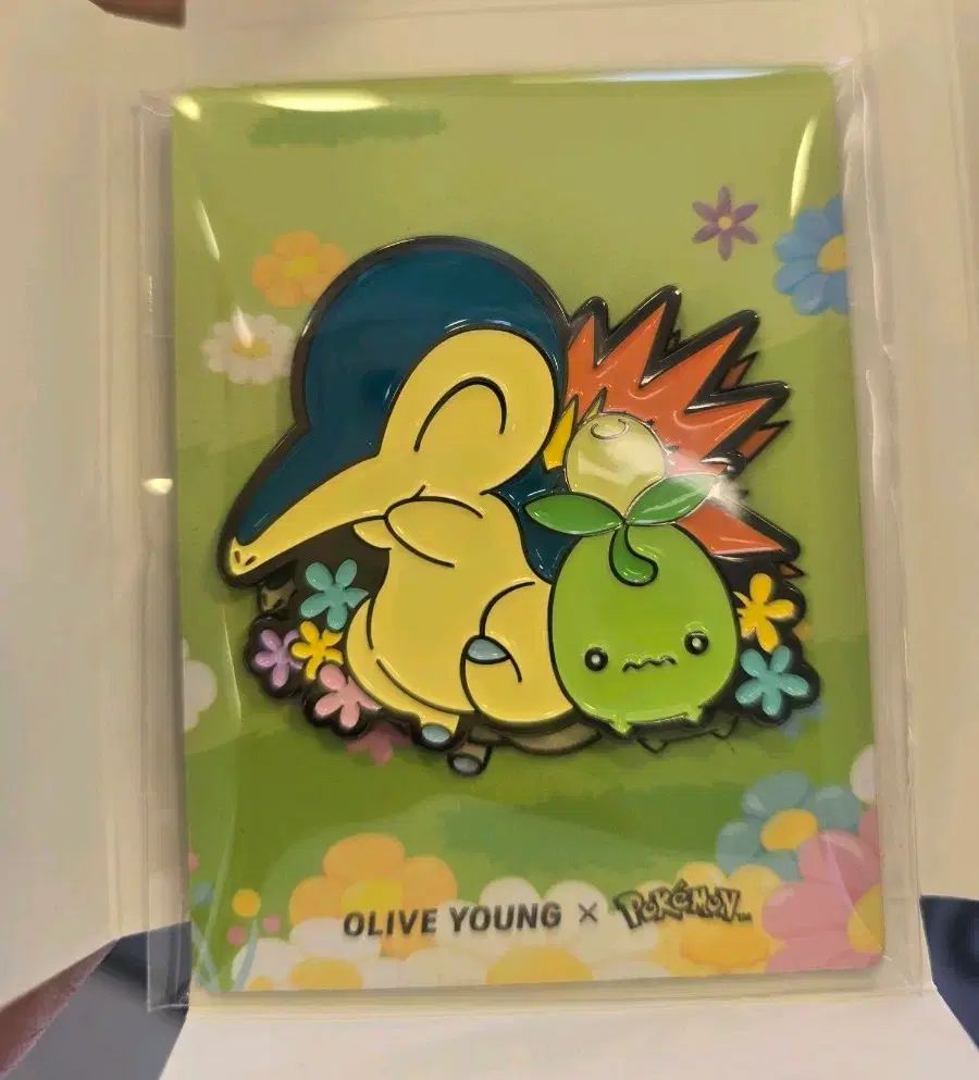 ポケットモンスター オリーブヤング ダブル 麻 マグネット ヒノアラシ