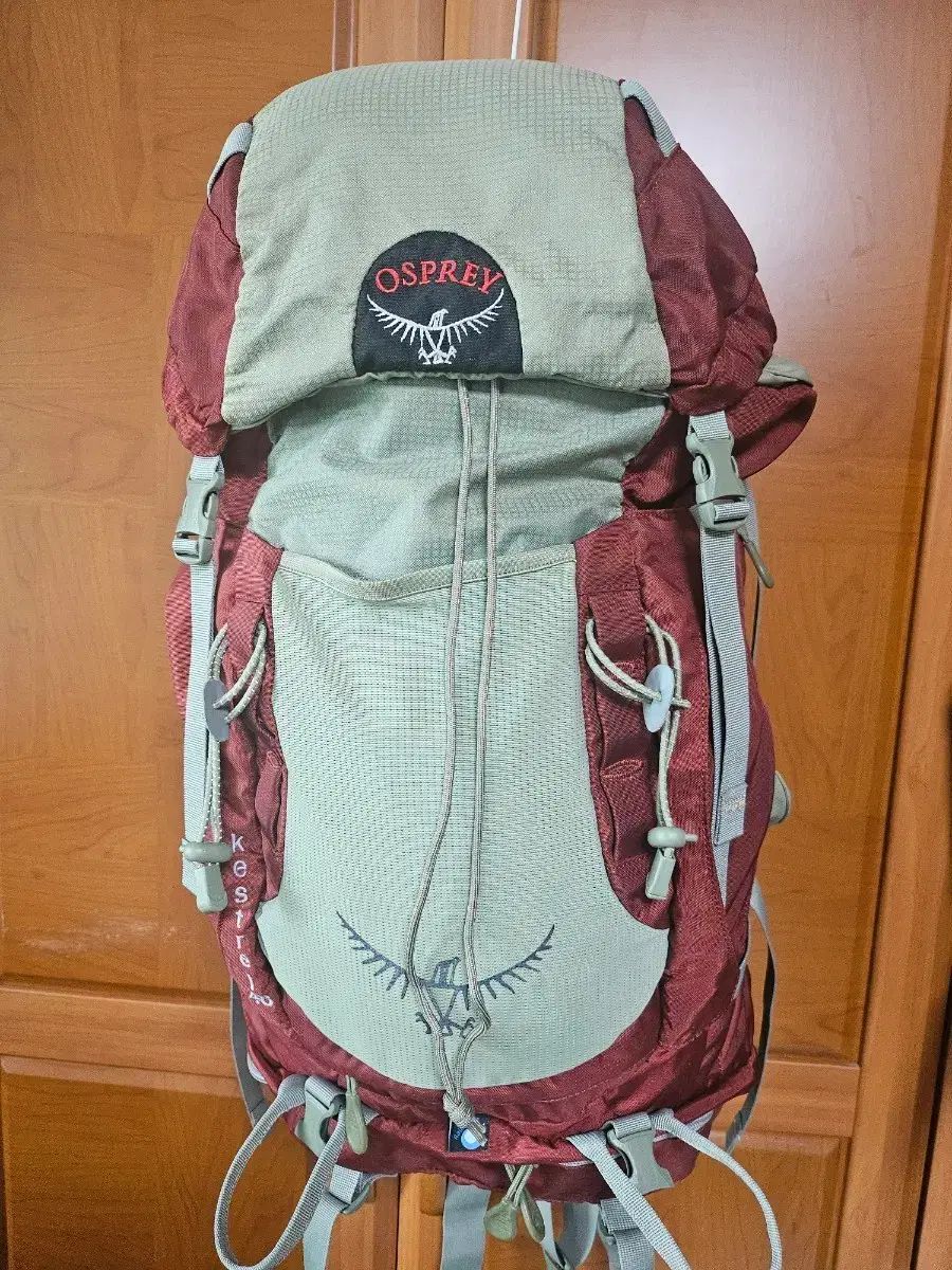オスプレイ(OSPREY) ケストレル リュック リュックサック
