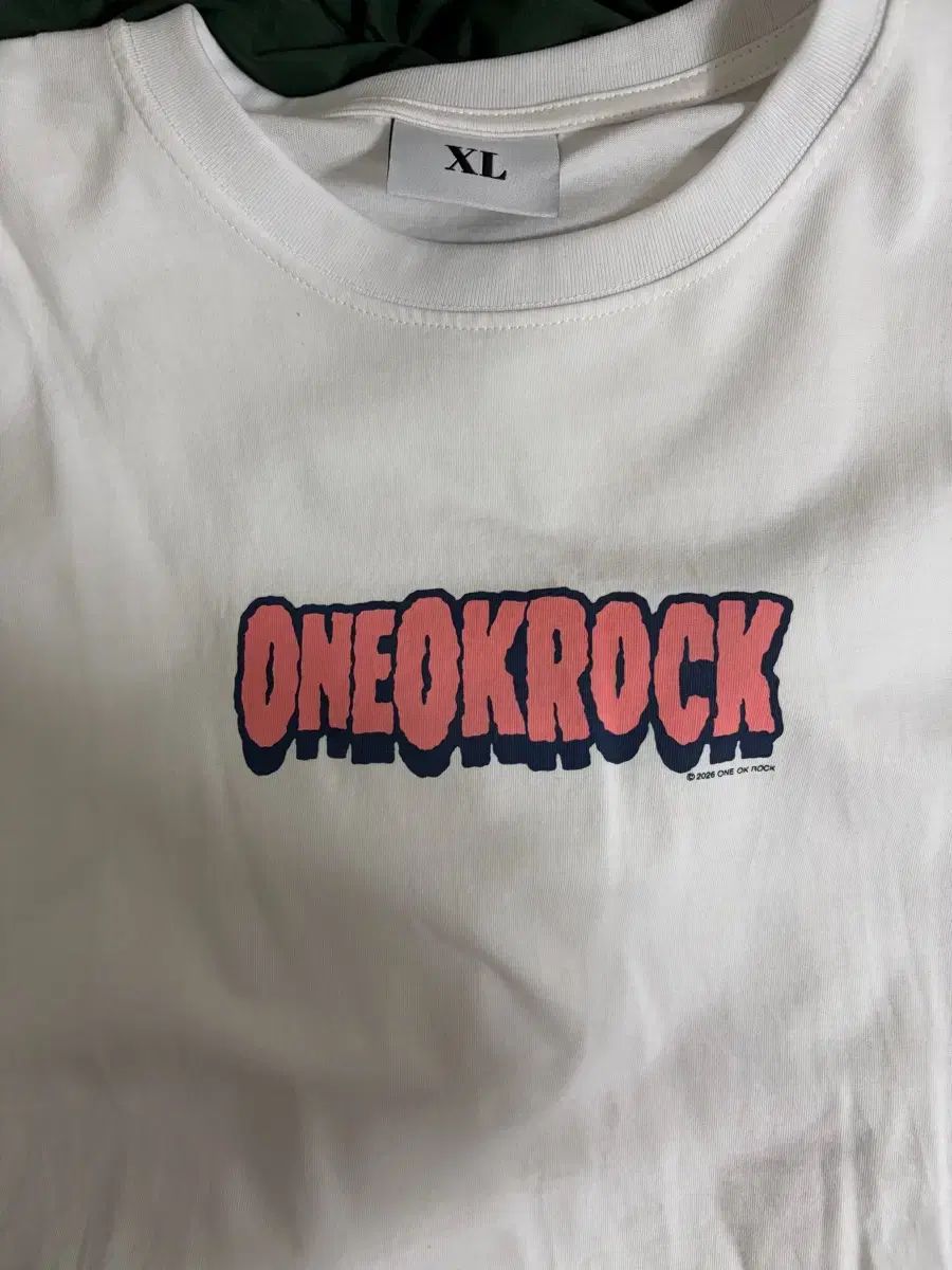 ONE OK ROCK DETOXツアー Tシャツ XL