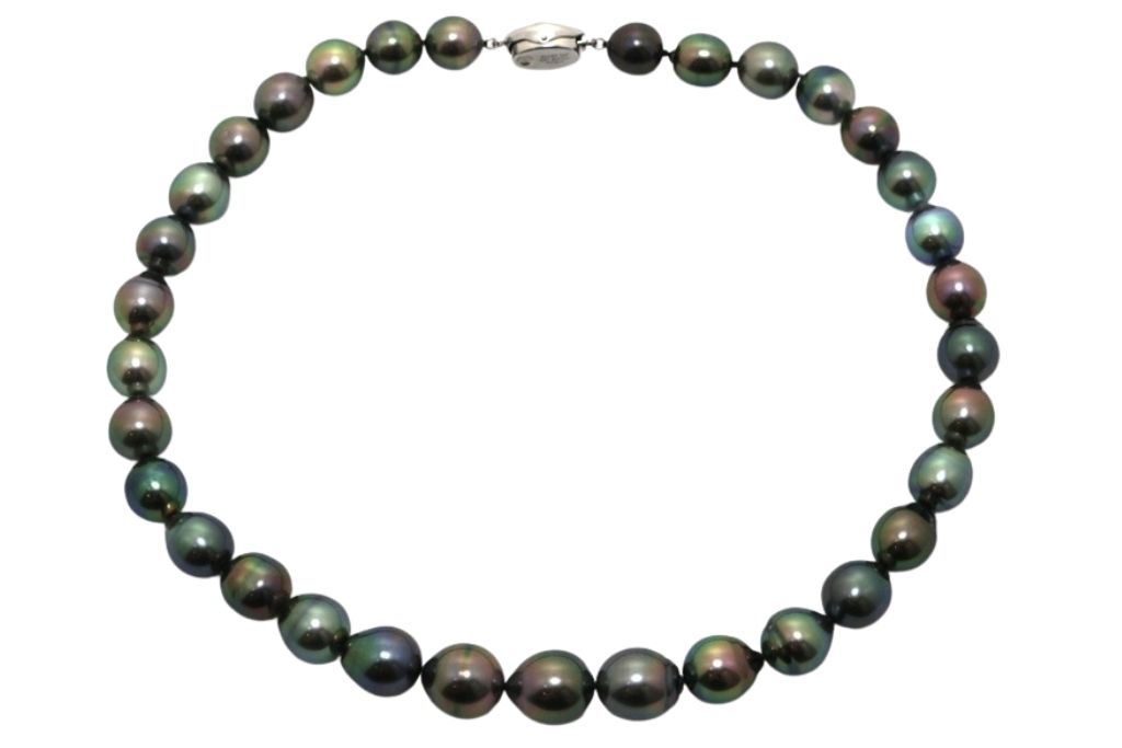 JEWELRY ジュエリー ジュエリー パールネックレス 貴金属･宝石 ネックレス シルバー SV/ブラックパール（黒蝶真珠） 【中古】
