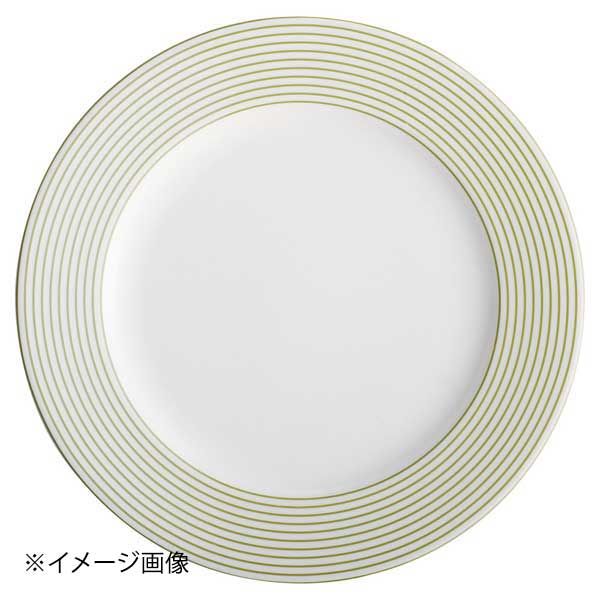 【新品】ボーダーグリーン10吋プレート