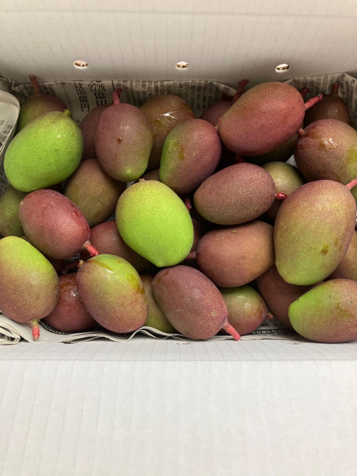 沖縄産 摘果マンゴー2KG (50g〜70g) - メルカリ