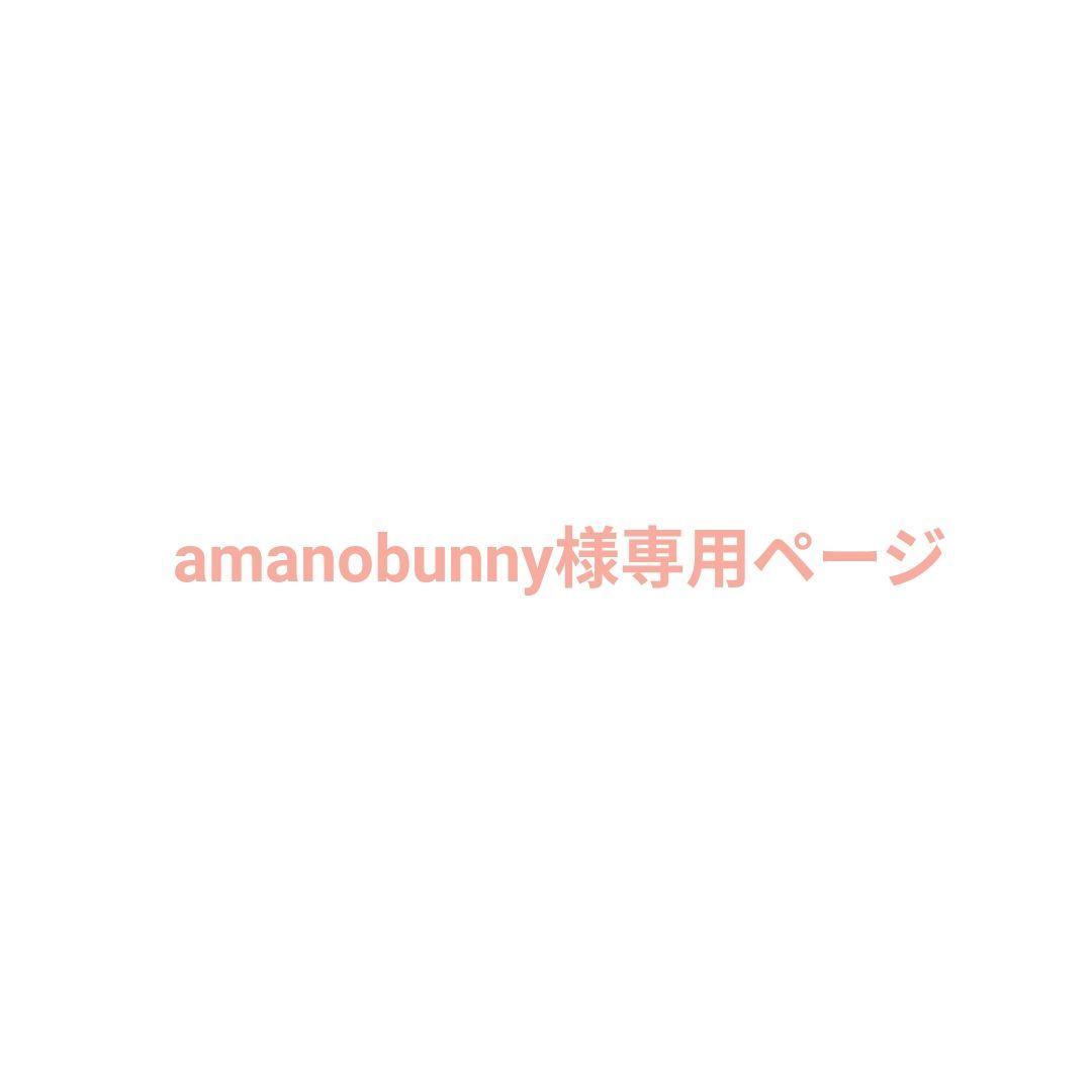 amanobunny様専用ページ