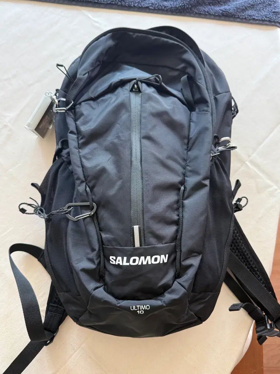 サロモン ウルティモ 10L