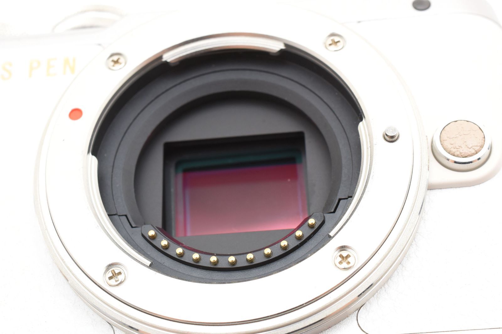 OLYMPUS PEN E-PL8 ダブルズームキット ホワイト /3176 動作OK 返金