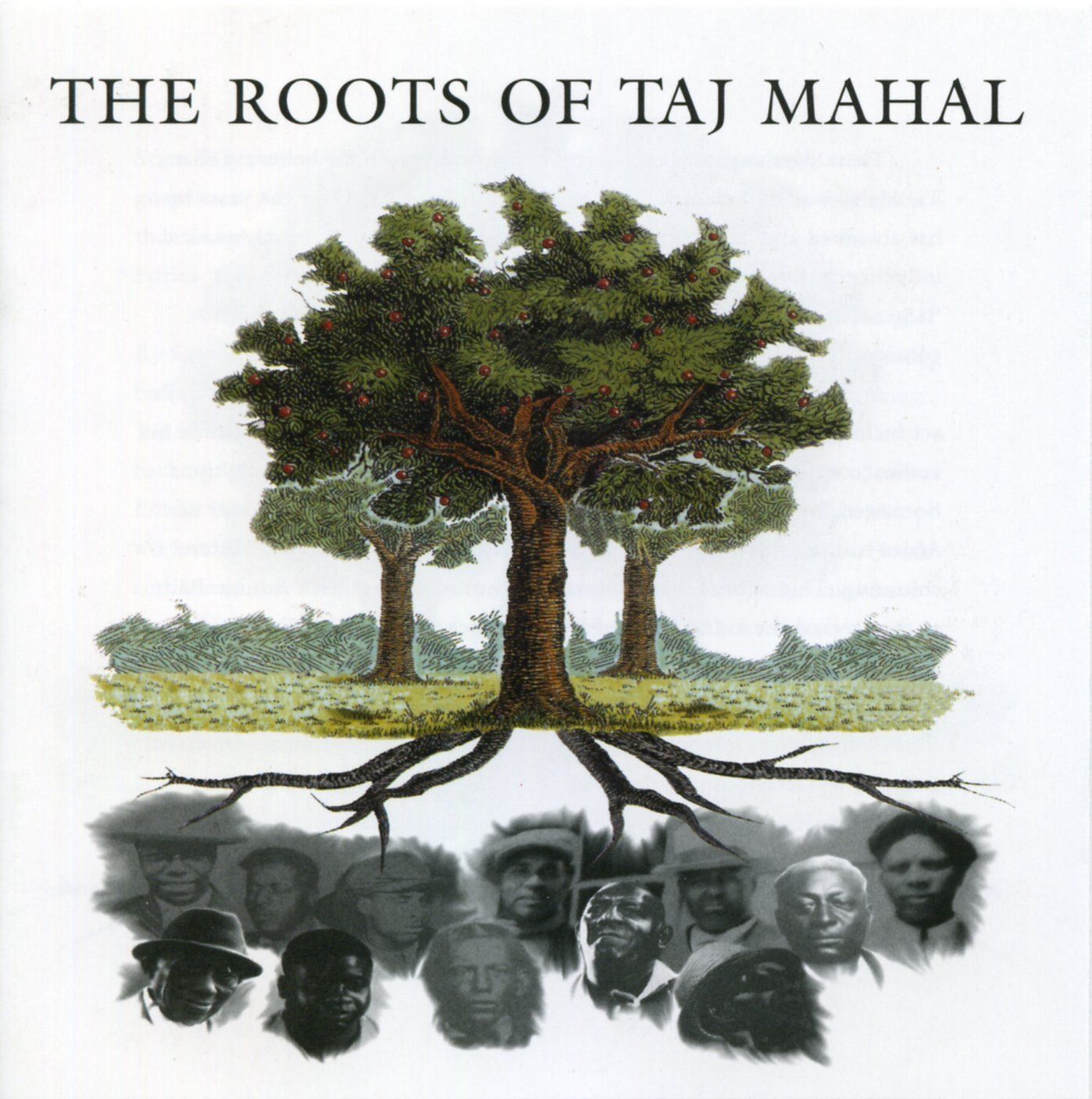 【CD】Roots of Taj Mahal