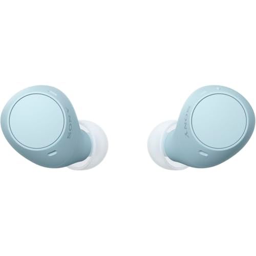 ソニー(SONY) 完全ワイヤレスイヤホン WF-C510 / 軽量小型4.6g / 高精度通話品質/外音取り込み対応/マルチポイント対応 / IPX4防滴性能 / ブルー/WF-C510 LCma