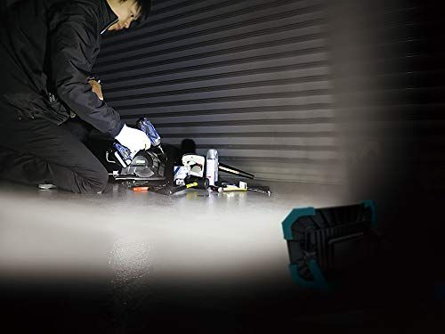 DAISHIN LED 投光器 コンセント式 AC DL-5800WL LED60W 5800lm 投光器 屋外 防水 LED 作業ライト LED灯光器 ワークライト LED作業灯 作業用ライト 照明 電気 防災ライト ライト 工事現場 工事 70c0f397 DAISHIN LED 投光器 コンセント式 AC DL-5800WL LED60W 5800lm 投光器 屋外 防水 LED 作業ライト LED灯光器 ワークライト LED作業灯 作業用ライト 照明 電気 防災ライト ライト 工事現場 工事 70c0f397
