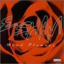 【CD】Dead Flowerz