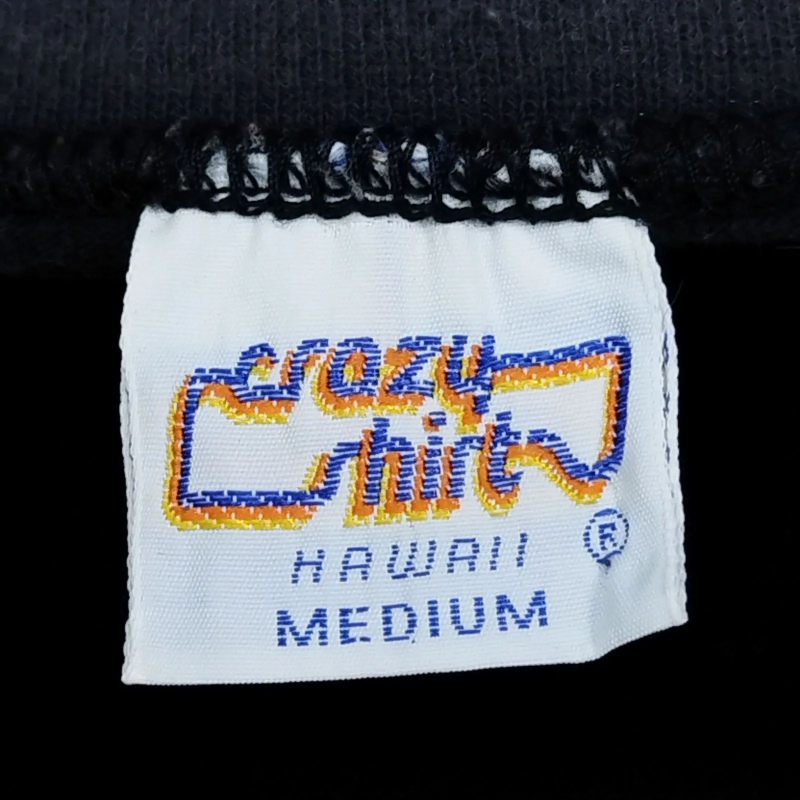 90s The Endless Summer Tシャツ 映画 MOVIE Crazy Shirts ポスター 
