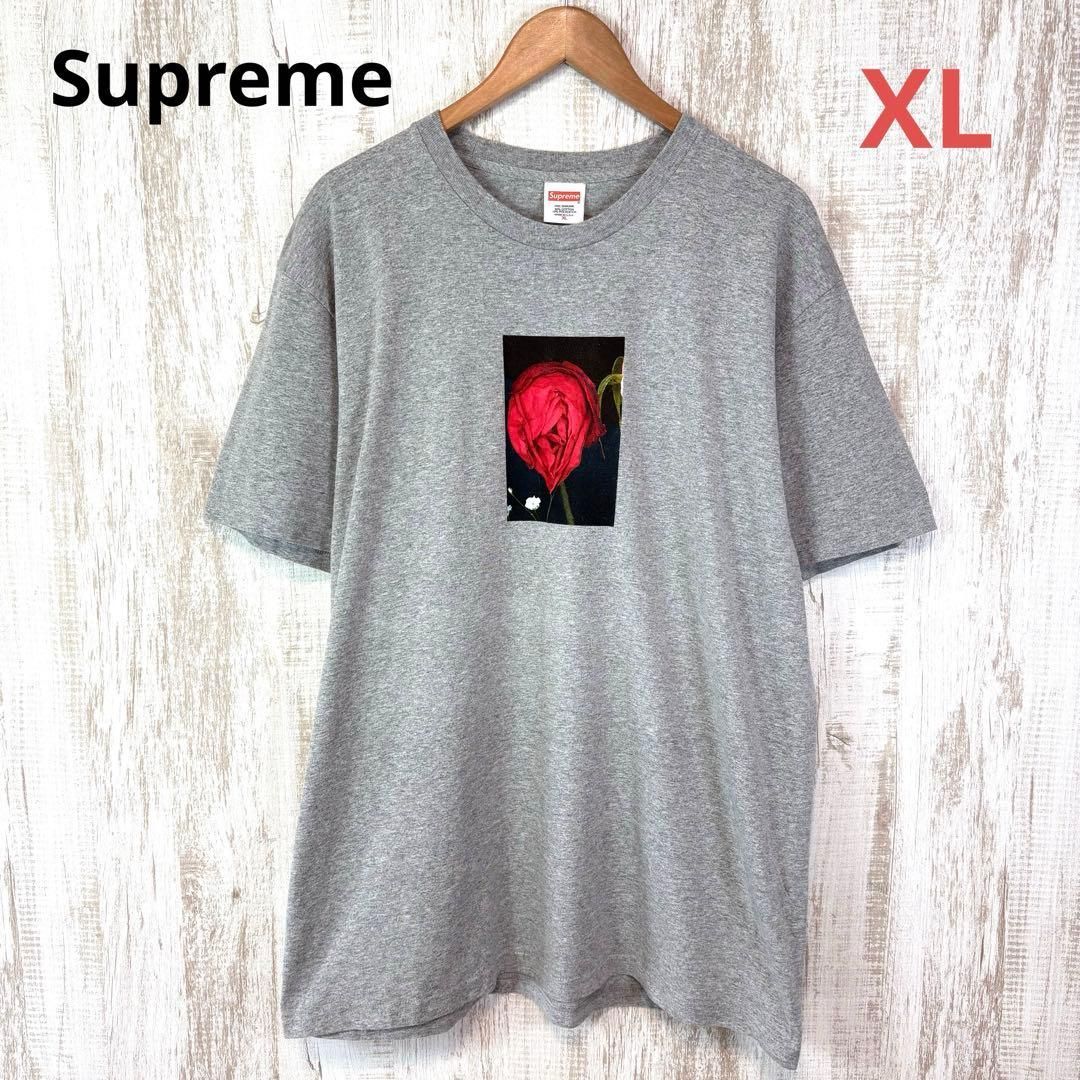 美品 レアサイズ Supreme シュプリーム Araki Rose バラプリント Tシャツ 荒木経惟 ビッグシルエット グレー