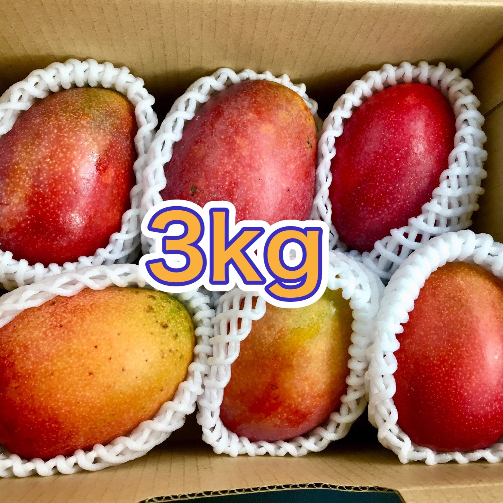 沖縄 豊見城産 【訳あり】アップルマンゴー3kg