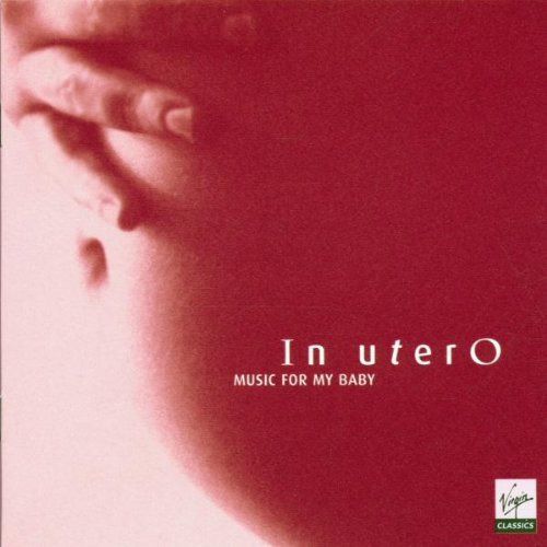 【CD】In Utero: Music for My Baby 1