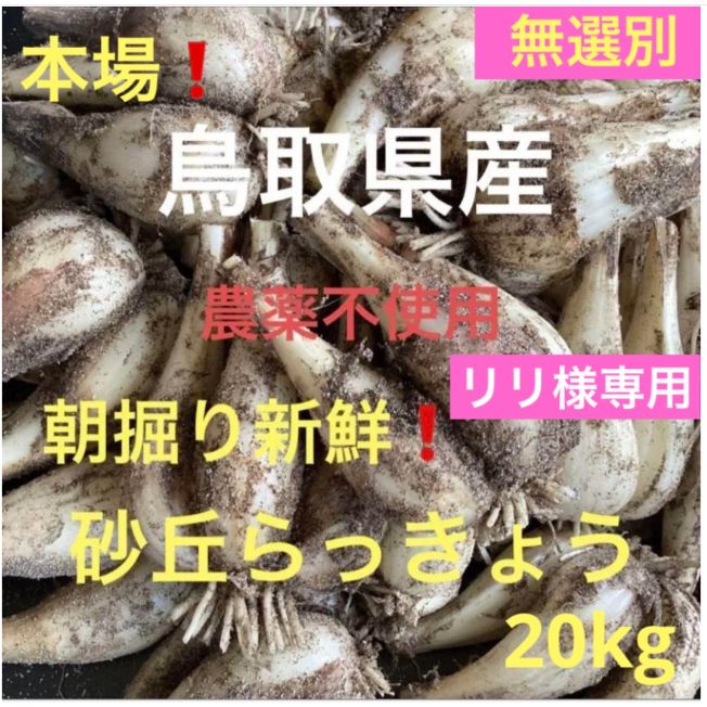 専用 〘 23日〜24日着〙