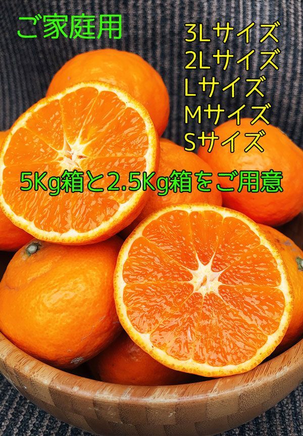 春みかん カラマンダリン 5kg 訳あり Mサイズ - メルカリ