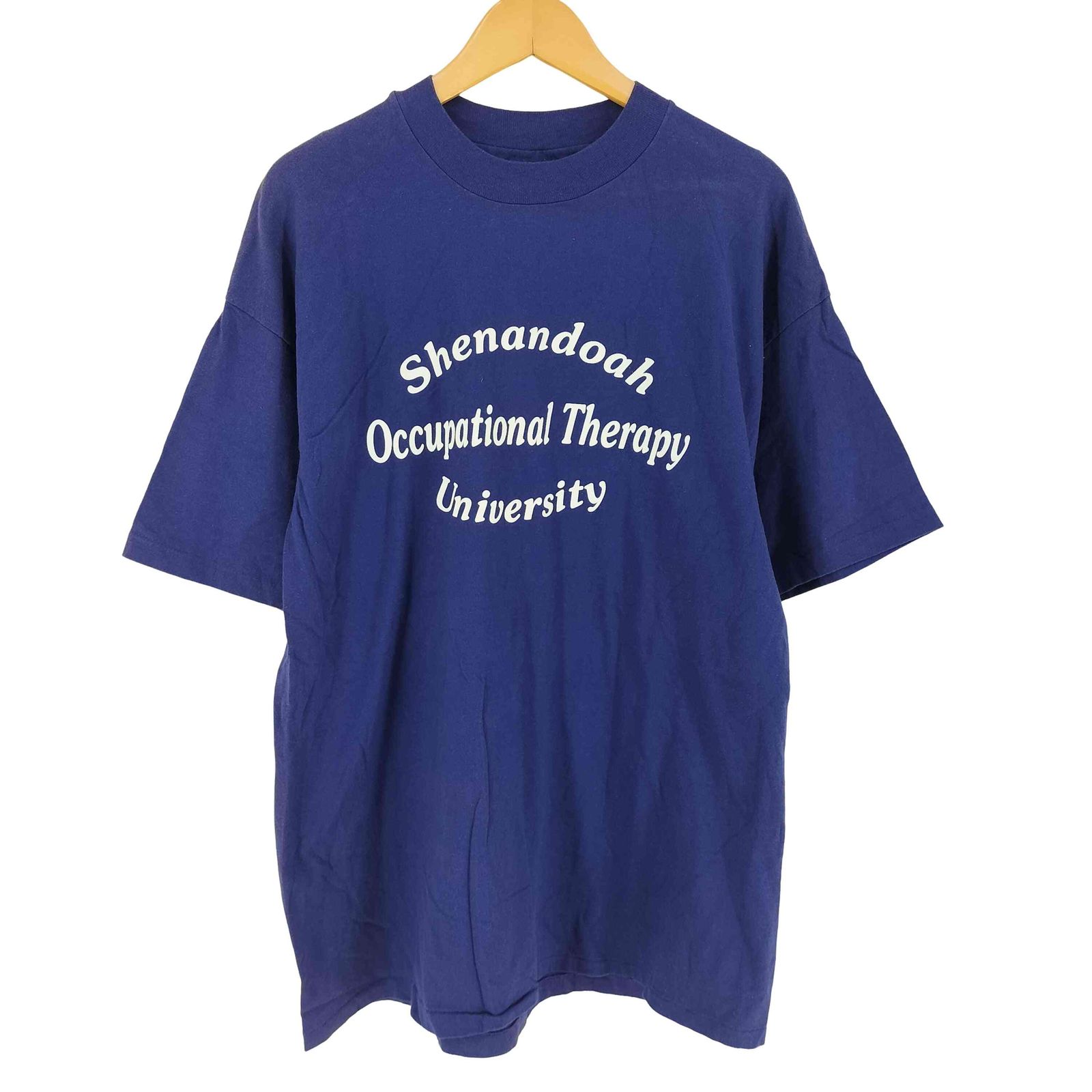 大人気】 ヘインズ Hanes 90s USA製 プリント Tシャツ メンズ XL
