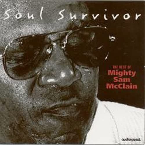 【CD】Soul Survivor: The Best Of...