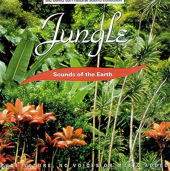 【CD】Jungle