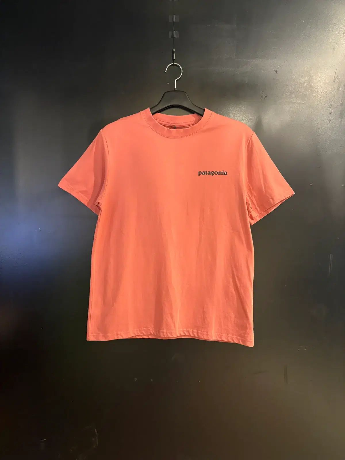 パタゴニア ロゴ Tシャツ