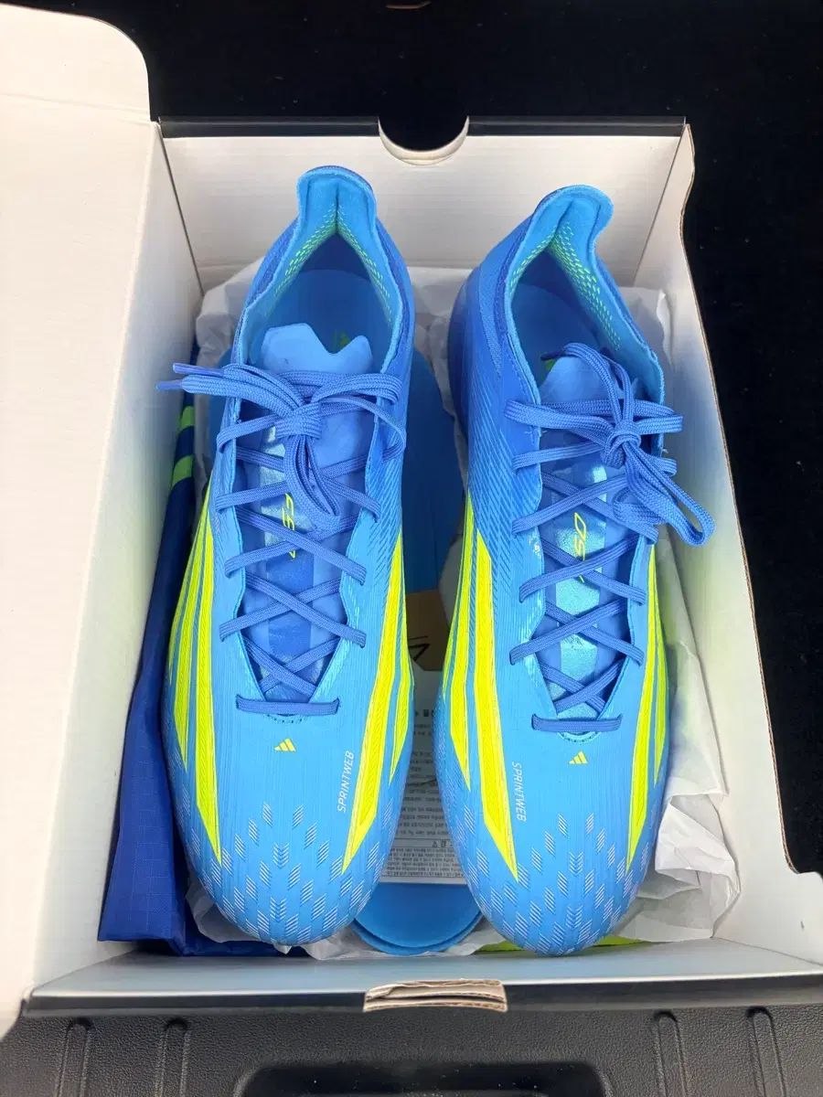 F50 エリート FG (260) 出品