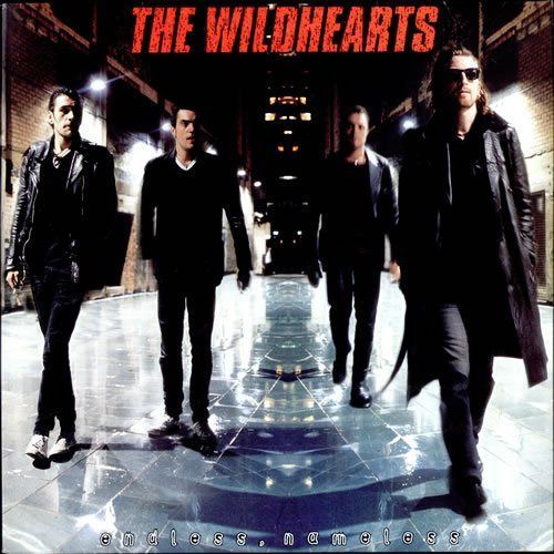 【CD】Endless Nameless [12 inch Analog]