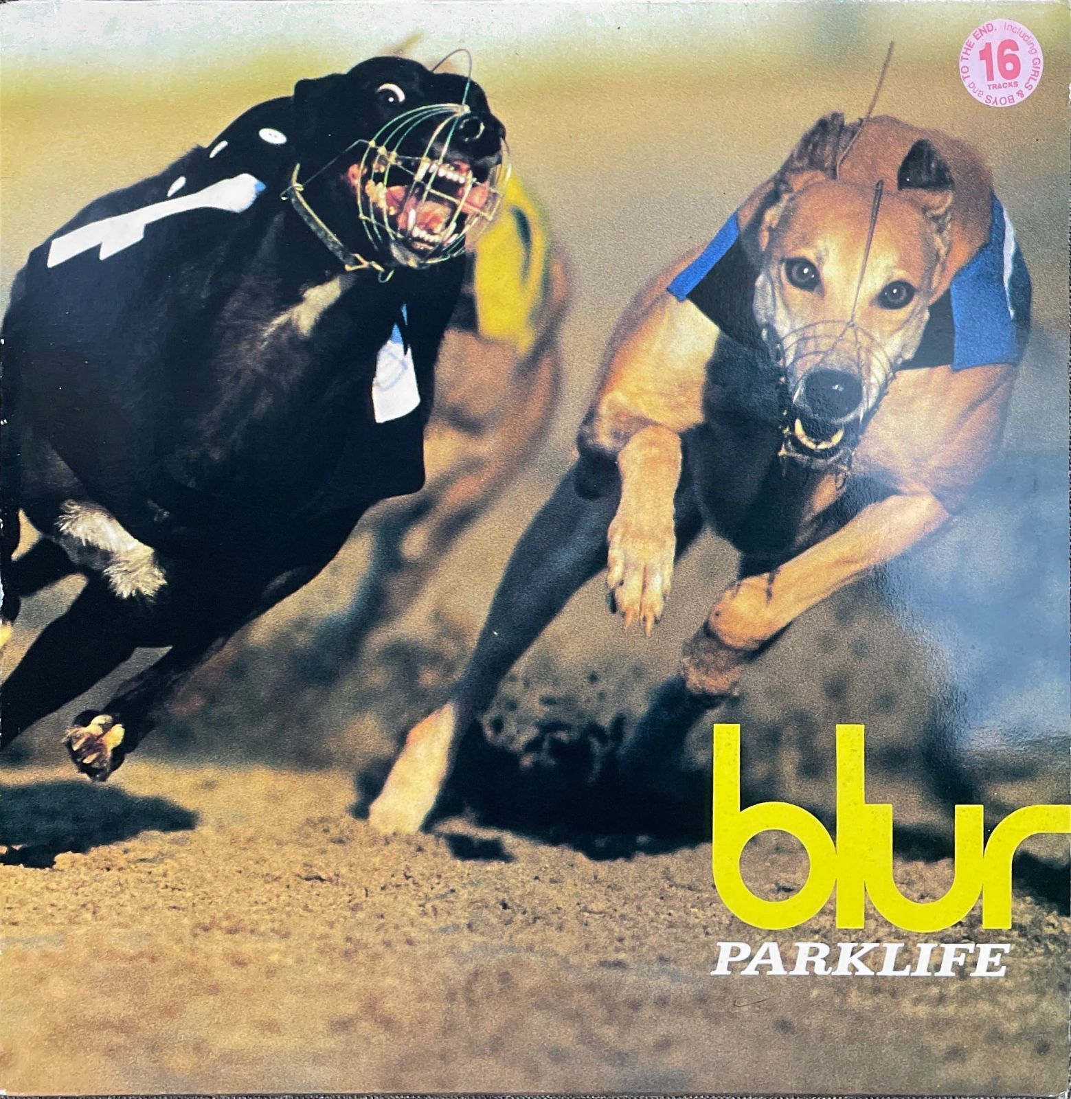 【CD】Parklife [12 inch Analog]
