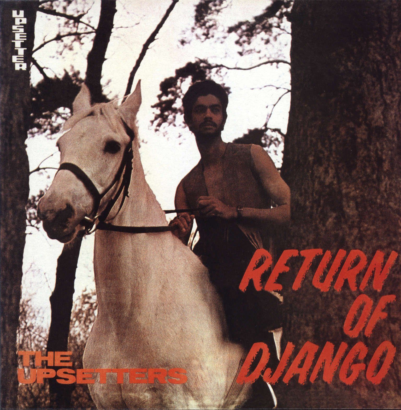【CD】Return of Django [12 inch Analog]