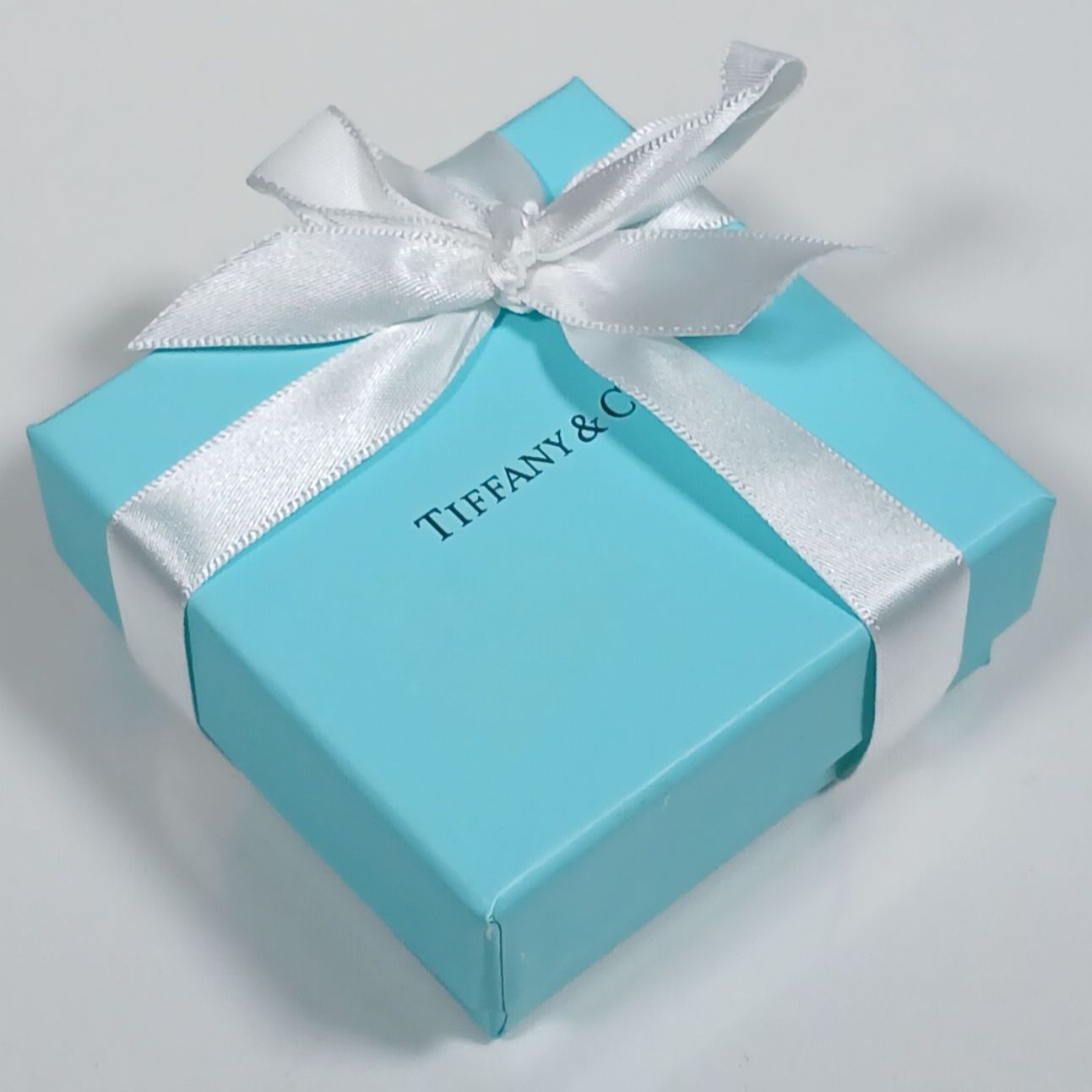 TIFFANY&Co. インフィニティ ダブルチェーン ネックレス SV925 
