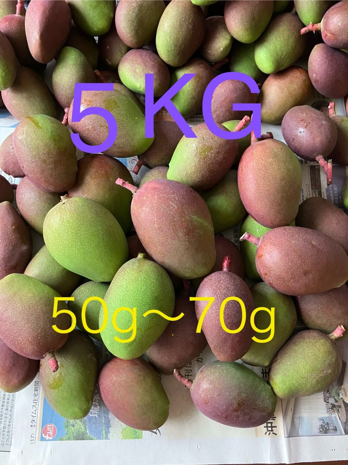 沖縄産 摘果マンゴー 5kg (50-70g) 農家直送 - メルカリ