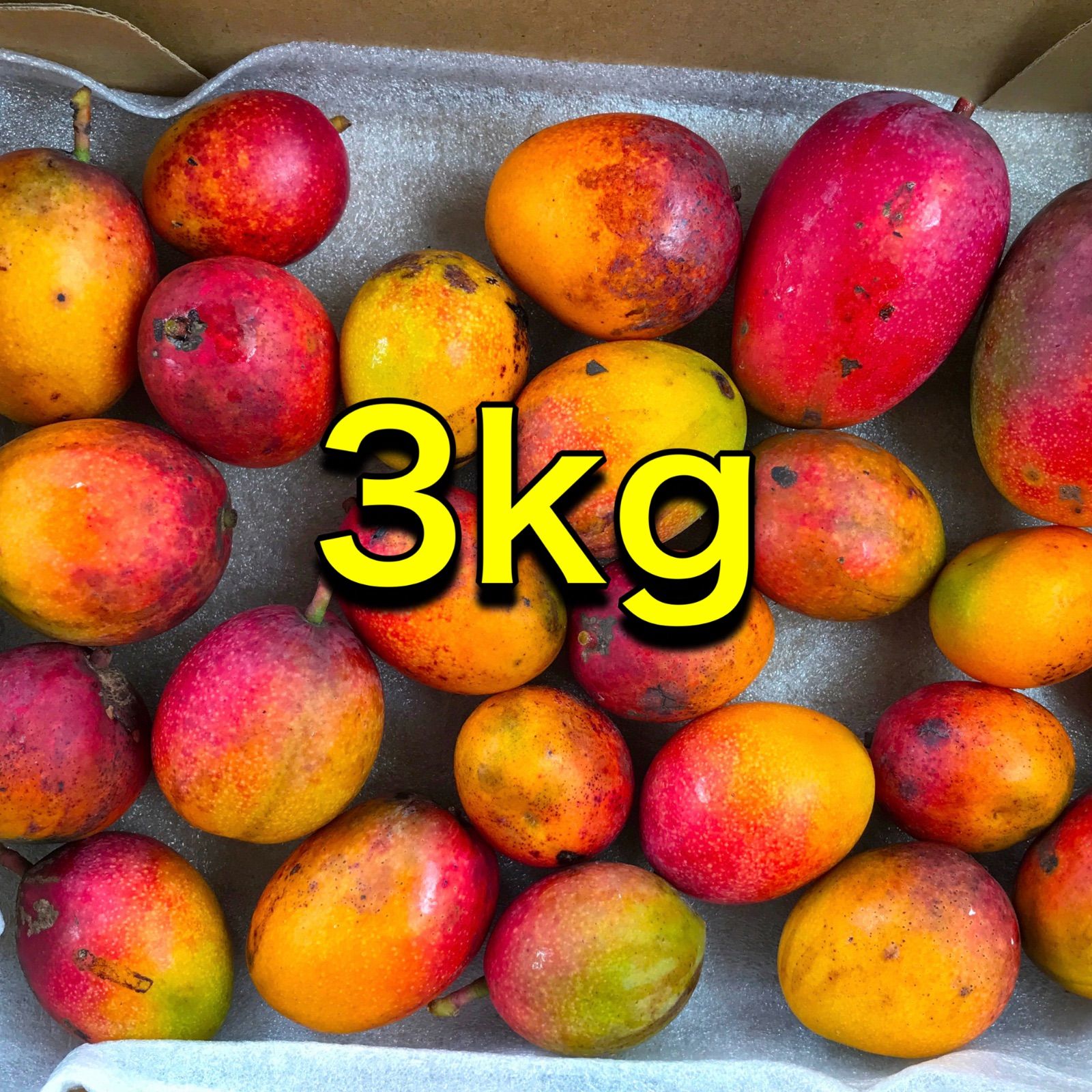 沖縄県産 【訳あり】完熟アップルミニマンゴー 3kg
