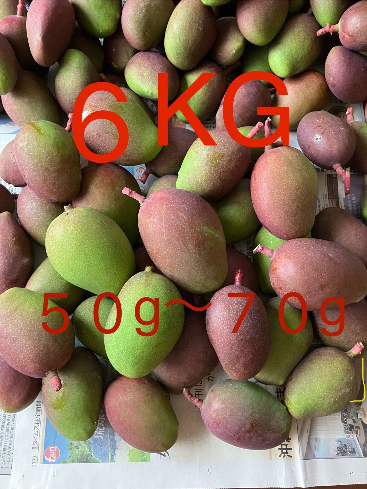沖縄産　摘果マンゴー6KG (50g〜70g)