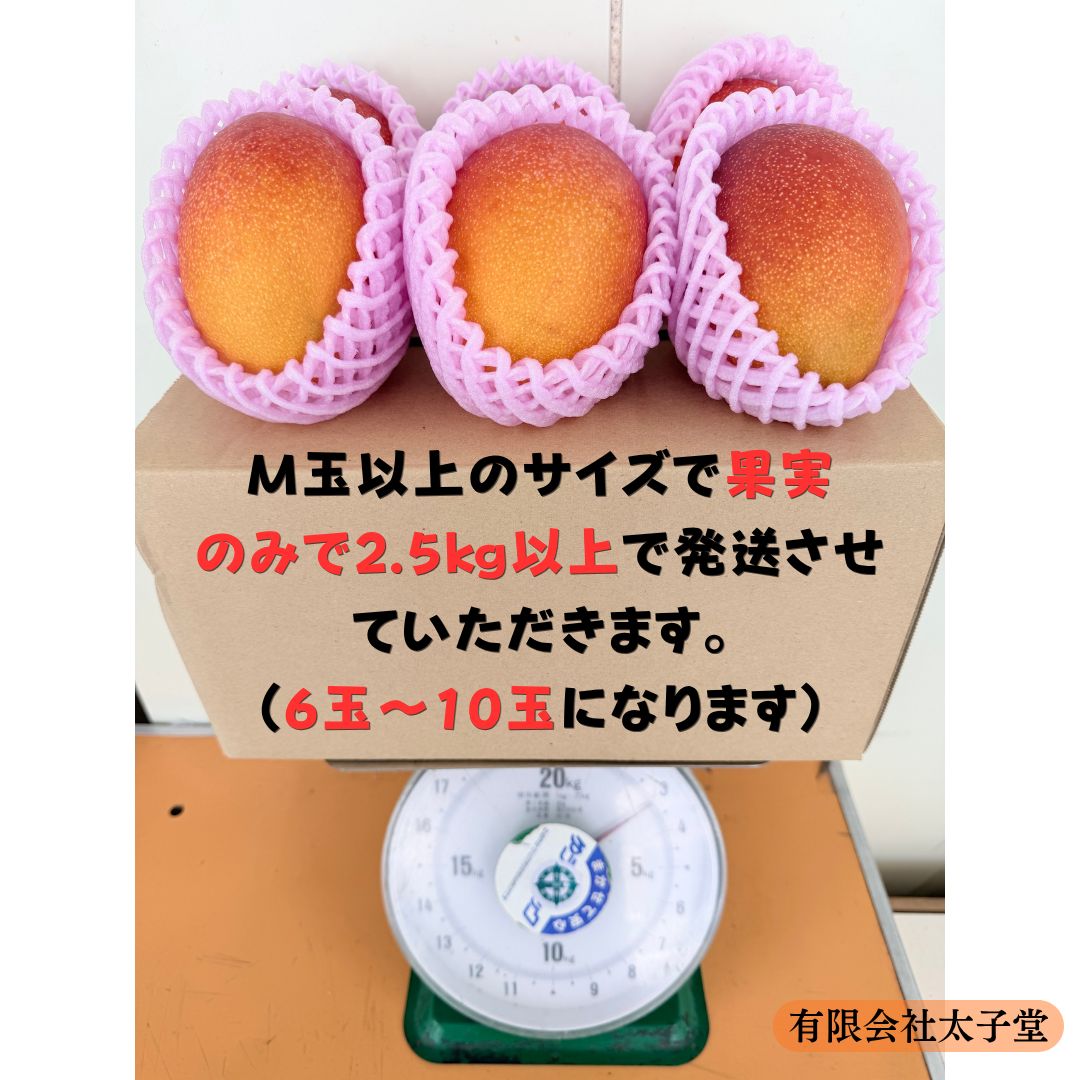 鹿児島県産 ご家庭用　完熟マンゴー2L 6玉　d 鹿児島県産 ご家庭用 完熟マンゴー2L 6玉 完熟マンゴー 鹿児島県産