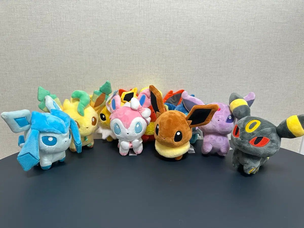 イーブイ ドールズ セット 出品