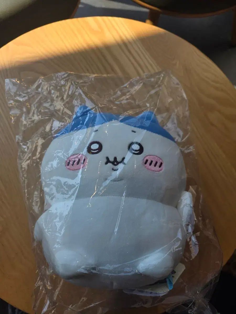太ったハチワレ