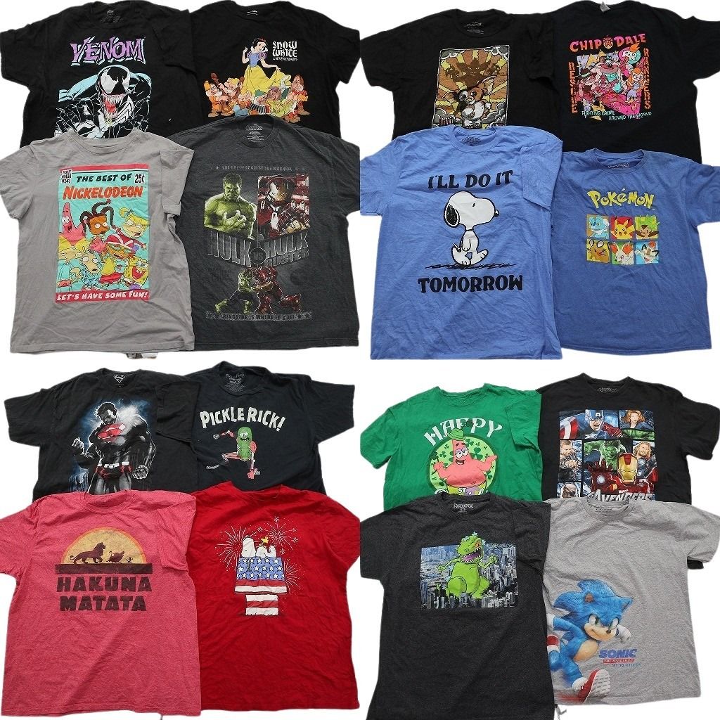 古着卸 まとめ売り キャラクター Tシャツ 16枚セット ( メンズ XL ) スヌーピー マーベル ソニック ライオンキング 中古 古着 NE8048