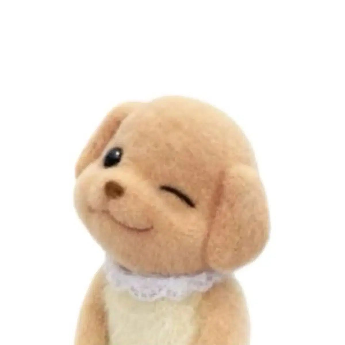 독고성ジェイ