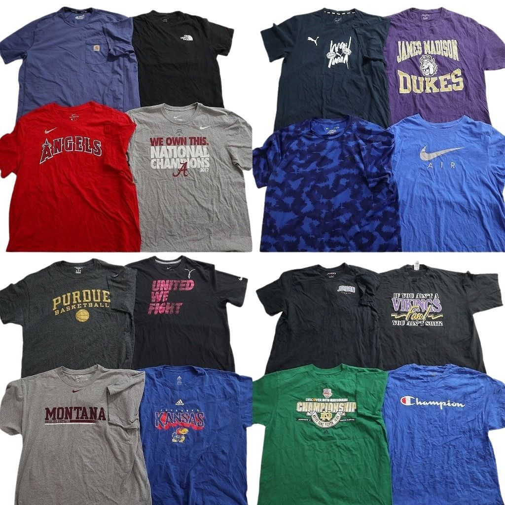 古着卸 まとめ売り ブランドMIX Tシャツ 16枚セット ( メンズ XL ) ノースフェイス カーハート ジョーダン ナイキ 中古 古着 NE8069
