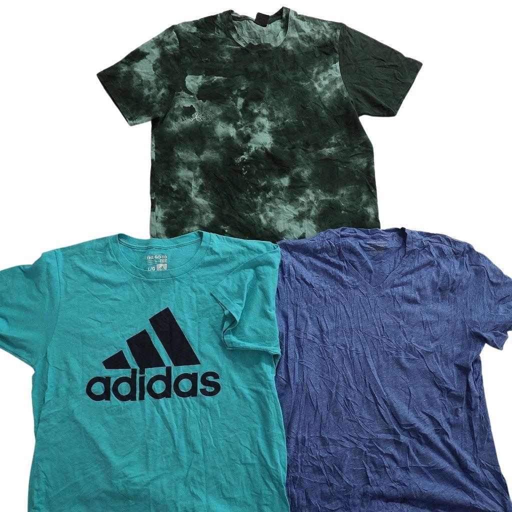 古着卸 まとめ売り ブランドMIX Tシャツ 15枚セット ( メンズ L ) カーハート オークリー ジョーダン ナイキ アディダス 中古 古着 NE8076