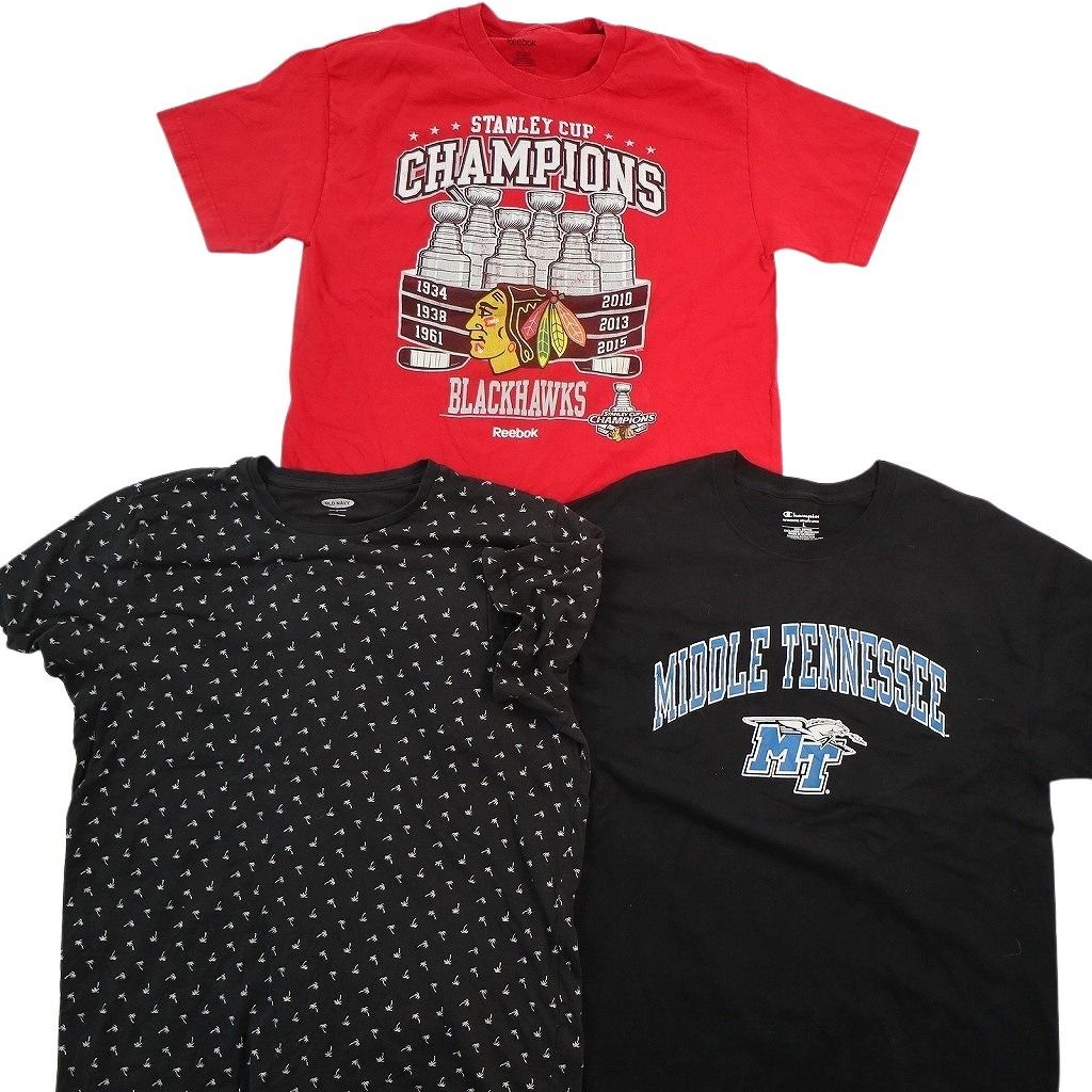 古着卸 まとめ売り ブランドMIX Tシャツ 15枚セット ( メンズ L ) オールドネイビー ナイキ ホリスター チャンピオン 中古 古着 NE8085