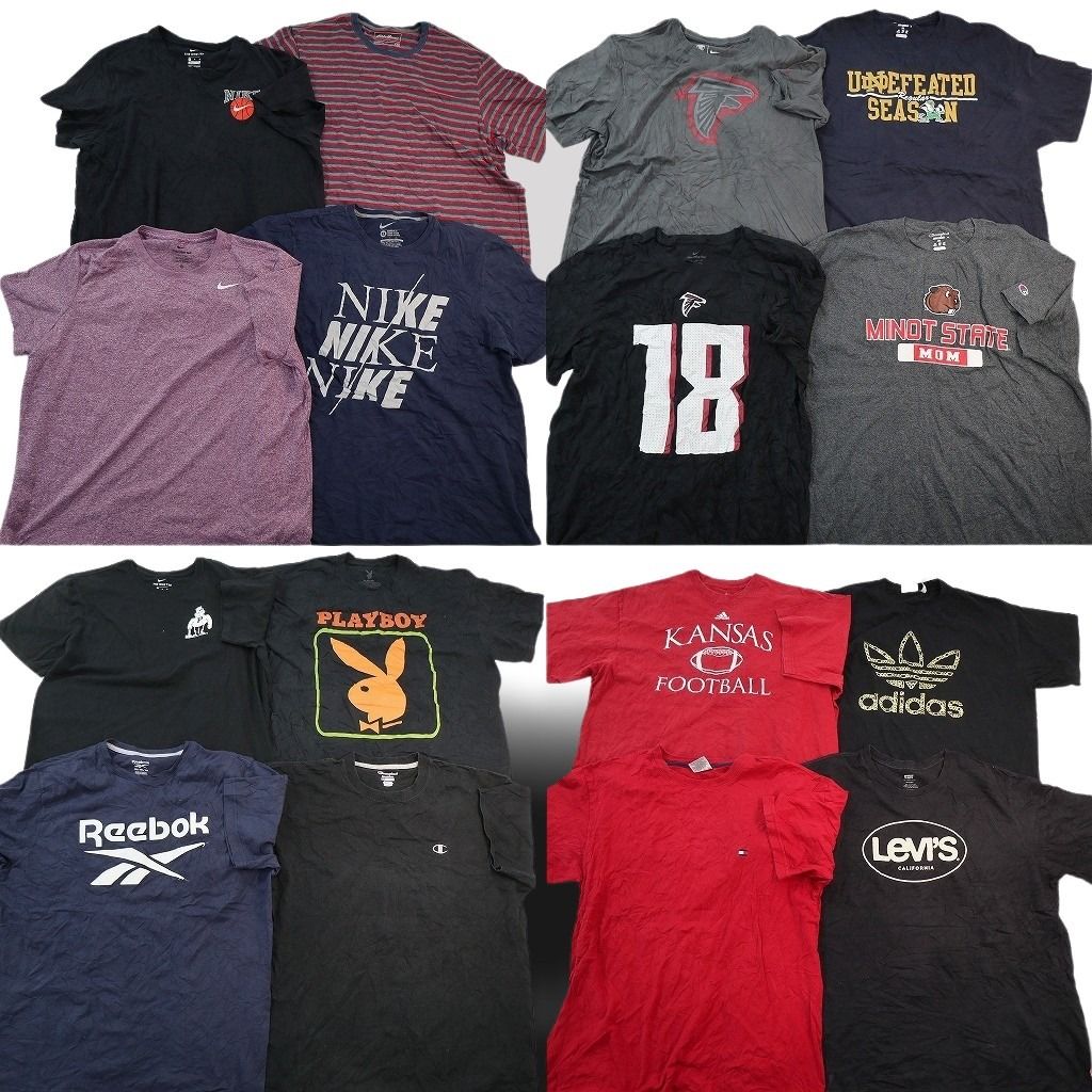 古着卸 まとめ売り ブランドMIX Tシャツ 16枚セット ( メンズ XL/2XL ) エディーバウアー リーバイス ナイキ トミー 中古 古着 NE8095