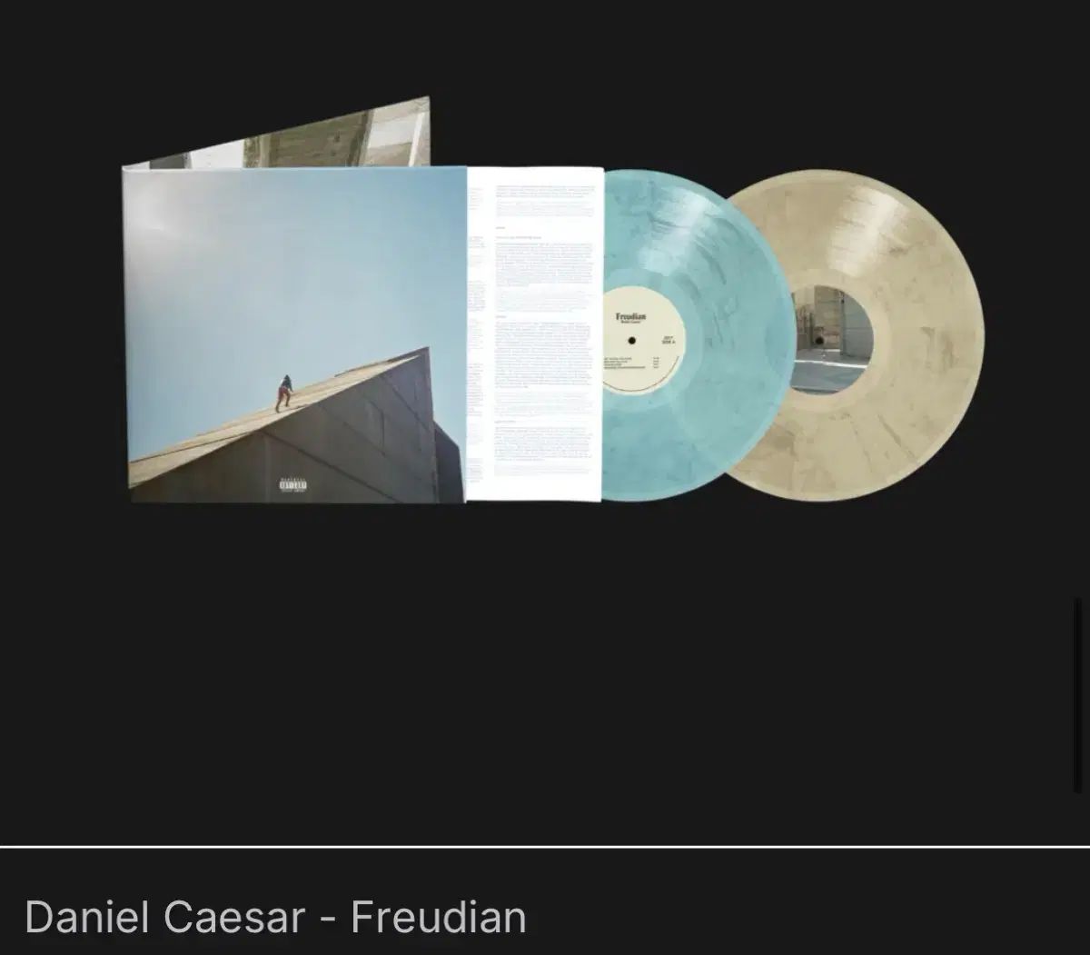 ダニエル(DANIELLE) シーザー lp 1 ホーム+ 2 家 限定版 限定盤 期間限定 ヴァイナル ビニールレコード セカンドトラック